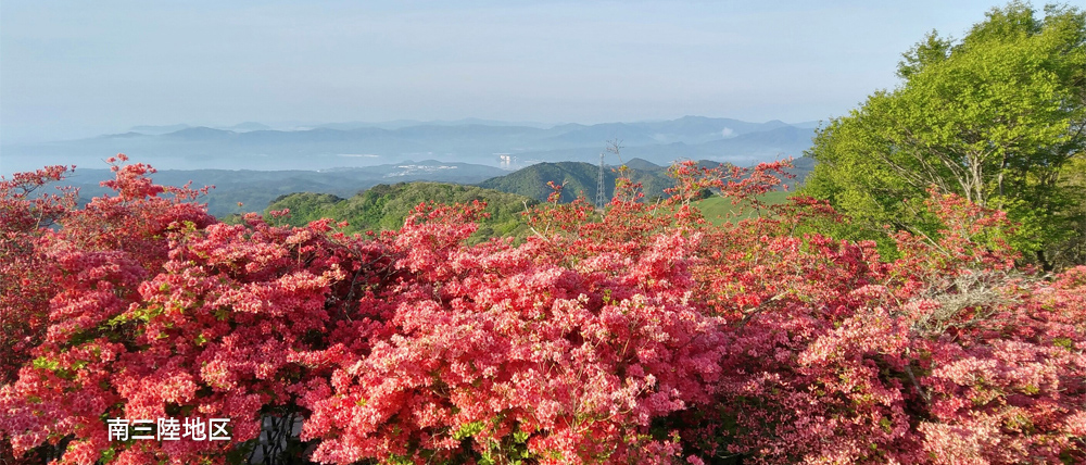 南三陸地区