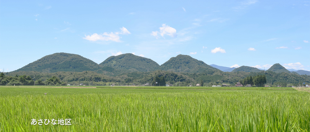 あさひな地区