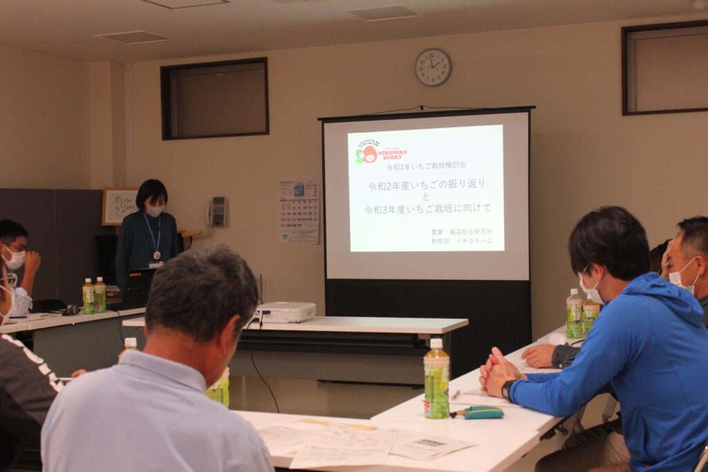 いちごの栽培・管理方法について説明を行う宮城県農業・園芸総合研究所の高山詩織研究員（9月30日、宮城県気仙沼市階上地区で）