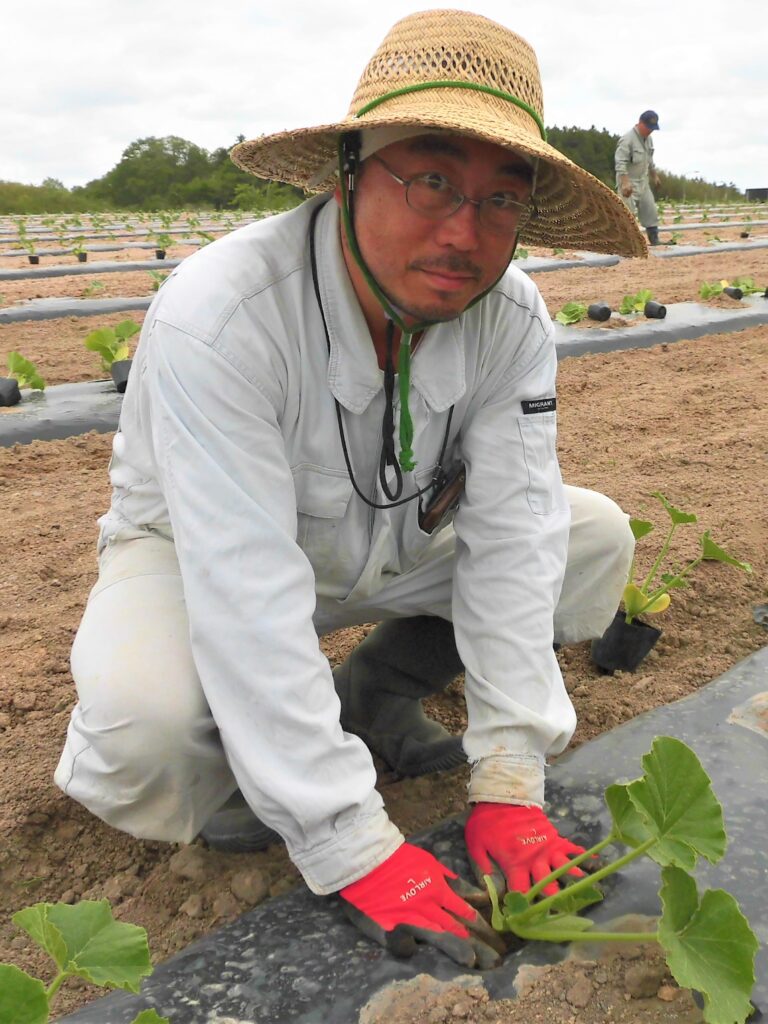  カボチャの植え付け作業をする大内さん