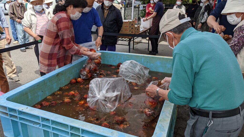 ホヤを袋につめる来場者