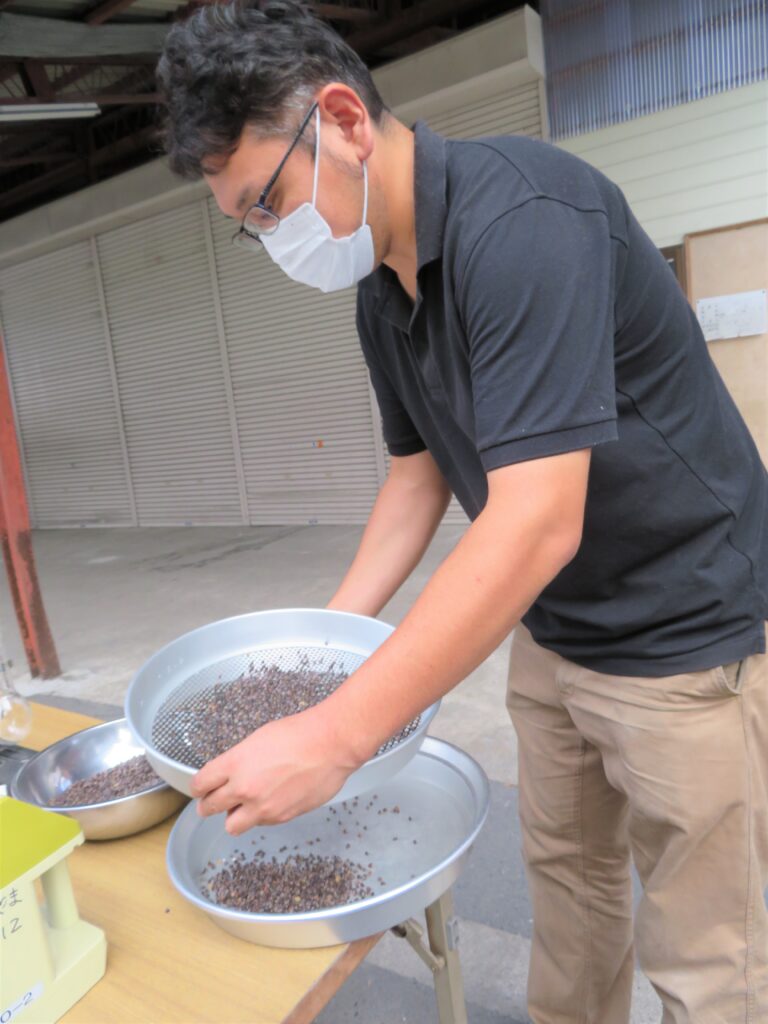 夏そばを検査するＪＡの農産物検査員（9月3日、大崎市鳴子で）