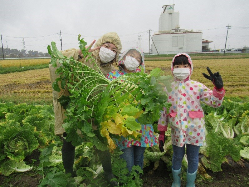 野菜を収穫する参加者